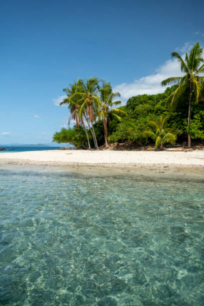 plaża, granito de oro, park narodowy coiba, panama - zdjęcie stockowe - summer resort white sand national holiday holiday zdjęcia i obrazy z banku zdjęć