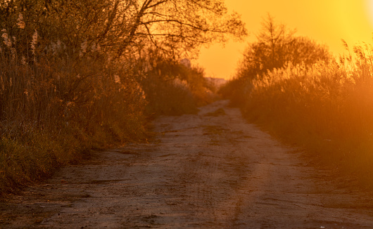 Country road through autumn landscape at during sunrise.