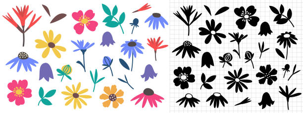 Flower clip art set includes hand drawn wildflower elements and silhoutes. Flower clip art set includes hand drawn wildflower elements and silhoutes. Nature inspired minimalistic and simple bundle. Vector illustration. silhouette of a indian paintbrush stock illustrations