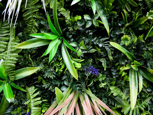 istock live plants grown on walls 1502864325
