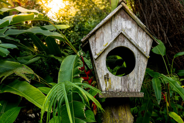 istock Bird box, bird house in the garden., 1502867056