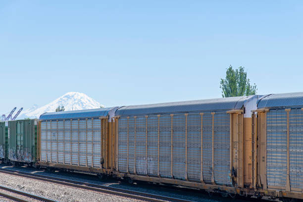istock autorack cars on train tracks 1502868959
