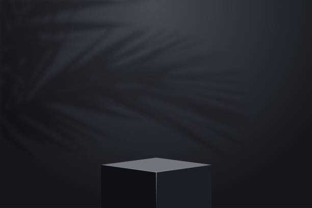 istock Realistic dark platform with shadow overlay of palm tree branch. Stage with empty pedestal and transparent overlay shadow effect from tropical palm leaves. Cubic shape 3d podium. 1502875516