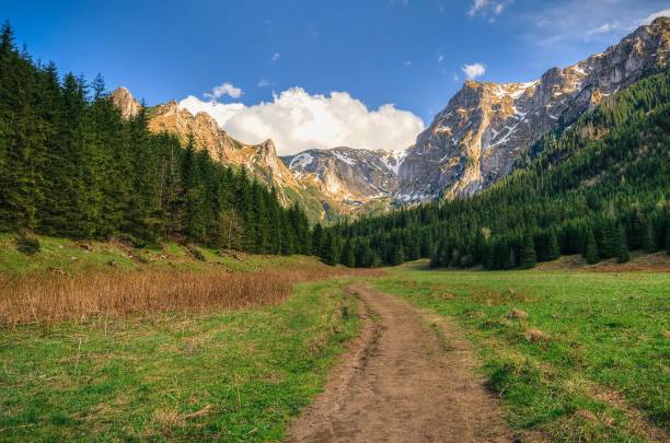 istock Spring mountain landscape in Polish mountains. 1502875994