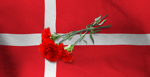 Image of three red carnations lying on the flag of Denmark