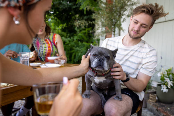 istock Giving the Dog a Stroke 1502877494