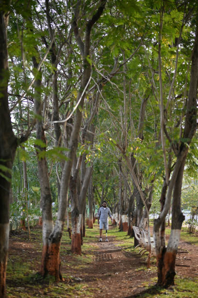 The scene showcases a serene natural landscape, with tall trees, vibrant foliage, and a carpet of lush grass beneath the man's feet. The scene exudes tranquility and offers a refreshing escape into nature. This picture serves as a powerful visual metaphor for overcoming obstacles and embracing personal strength.