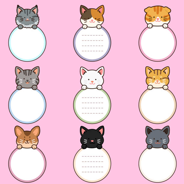 Outlined adorable and simple cat heads with front paws holding a circle note Outlined adorable and simple cat heads with front paws holding a circle note short haired maine coon stock illustrations