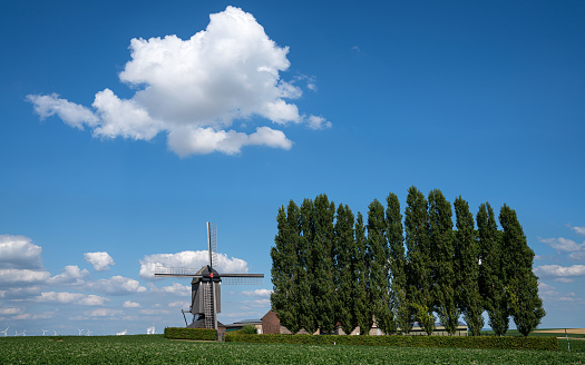 Panoramic image of windmill, Titz, North Rhine Westphalia, Germany