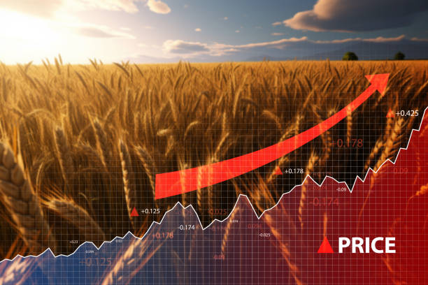 istock Crisis and increase in wheat cost with diagram going up 1502883597