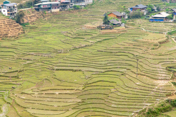 High angle panoramic view over a wide valley with green terraced rice fields close to Sapa, Vietnam and some houses against at the high end of the fields