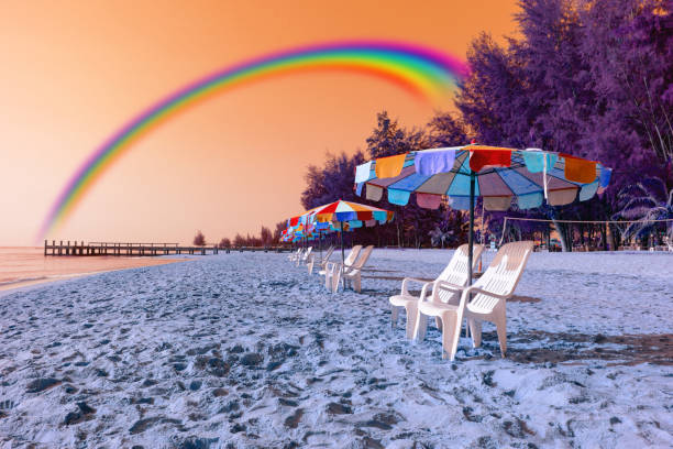 cadeira de praia branca e guarda-sol na praia tropical com céu laranja e arco-íris, efeito de filtro - white sand day rainbow tree - fotografias e filmes do acervo