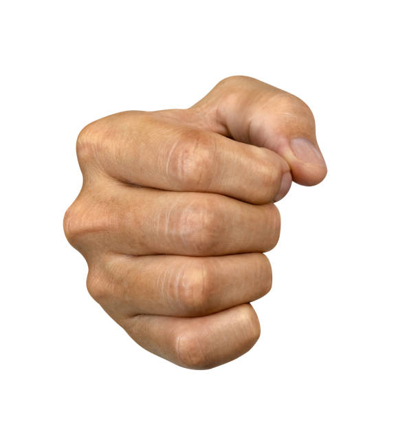 istock right hand fist isolated on white background,clipping path 1502889381