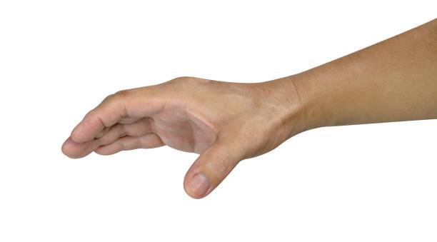istock hand holding something isolated on white background with clipping path 1502889382
