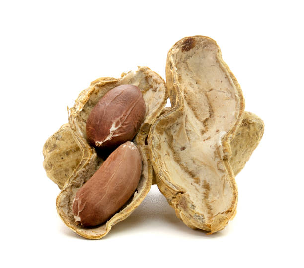 istock closeup dried peanuts isolated on white background 1502889407