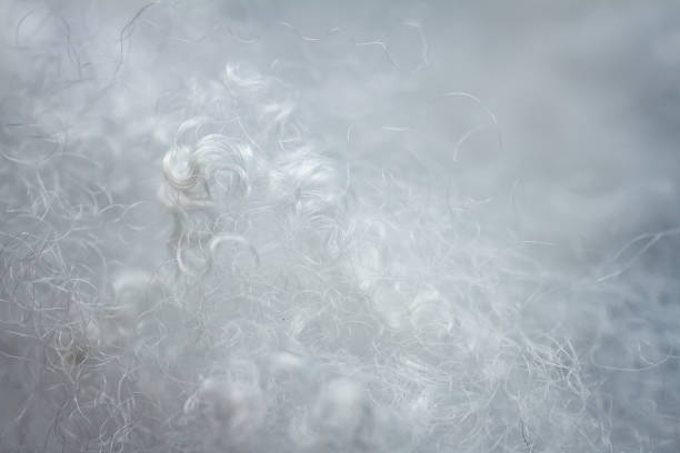 istock Extreme macro of polyester stable fiber 1502890096