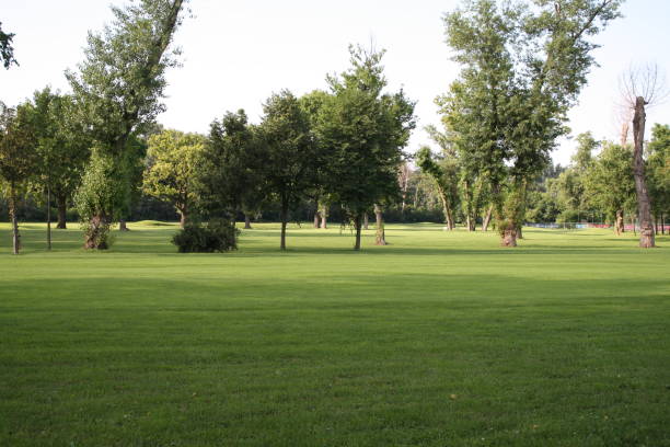 istock wonderful nature on the golf courses at Ada in Belgrade 1502890664