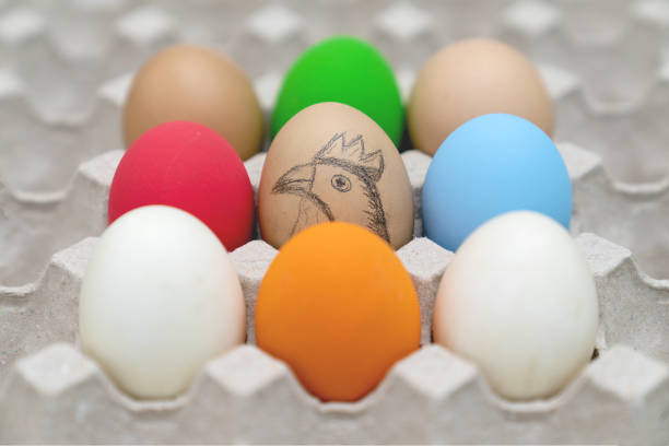 istock colorful eggs in the carton box with chicken drawing 1502893318