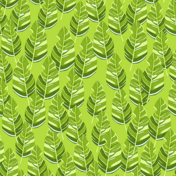 istock Hawaiian-inspired pattern. Fashionably exotic, palm trees and lush greenery wallpaper. Abstract backdrop botanical garden. 1502893948
