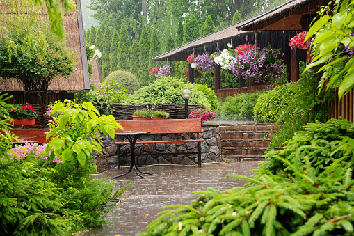 Rain in the backyard garden with flowers, table and bench on a summer day