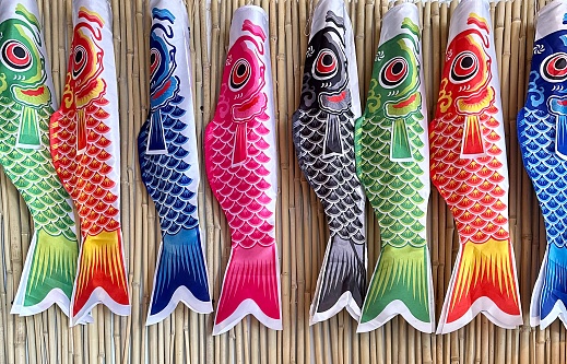 Colorful carp shaped windsock streamer called Koinobori carp-shaped windsocks traditionally flown in Japan especially on Children’s Day. Red, green, blue, yellow, orange and black fish against bamboo screen. Paper and nylon.