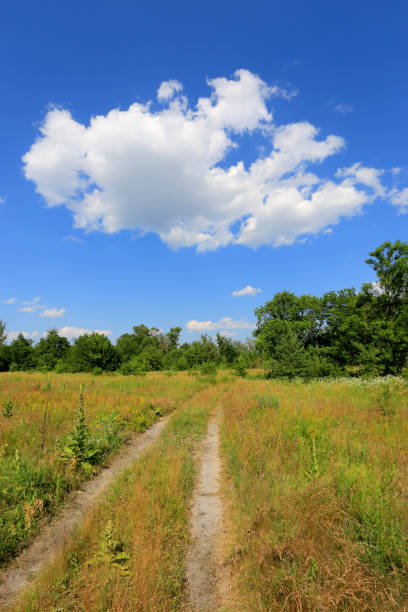 istock rural road in summer steppe 1502903673