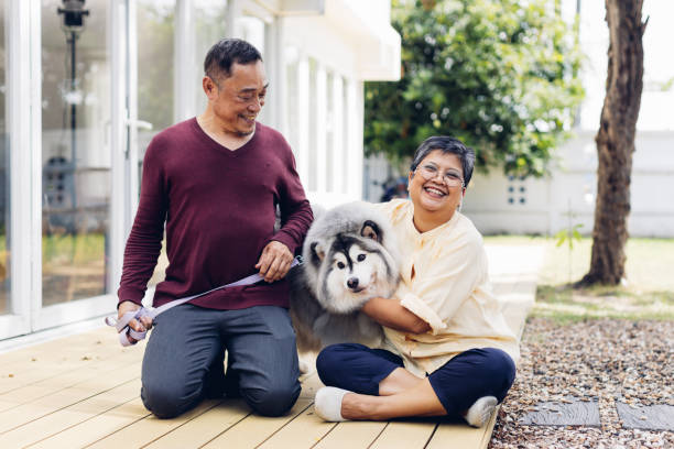 家の外で犬を撫でる幸せなアジアの老夫婦。外で家をしながら夏を楽しむ年金受給者のカップル。犬と老夫婦 - senior adult dog nursing home pets ストックフォトと画像