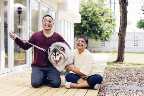 家の外で犬を撫でる幸せなアジアの老夫婦。外で家をしながら夏を楽しむ年金受給者のカップル。犬と老夫婦 - senior adult dog nursing home pets ストックフォトと画像