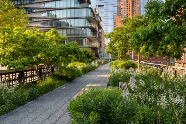 夏のハイラインパーク遊歩道。マンハッタンのチェルシーの中心部にある高架緑道。ニューヨーク市 - nyc greenway ストックフォトと画像