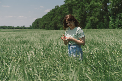 child walks along the wheat field, bright sun, beautiful summer landscape