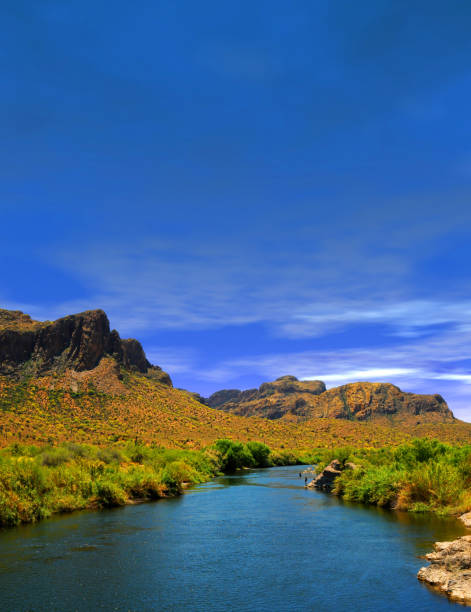 istock Salt River Recreation Area Arizona 1502915413