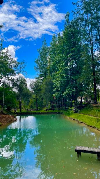 istock Turquoise water in Guatemala 1502919737