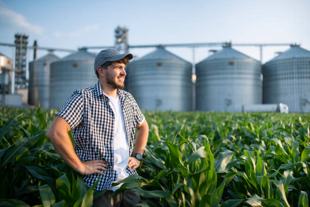istock Farmer enjoying the growth of his corn crops. 1502921549