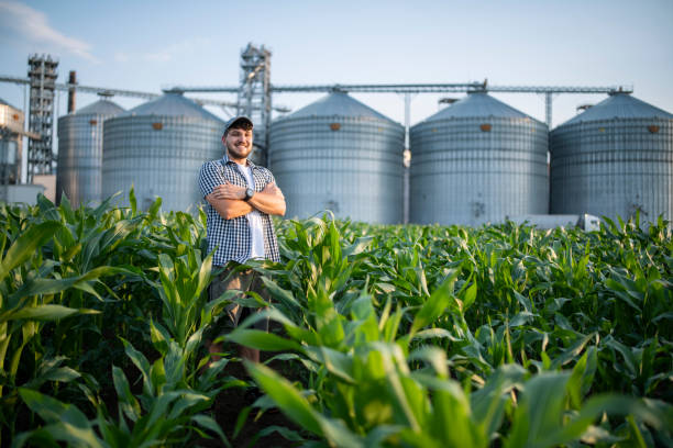 istock Portrait of confident farmer standing in the corn fields. 1502921557