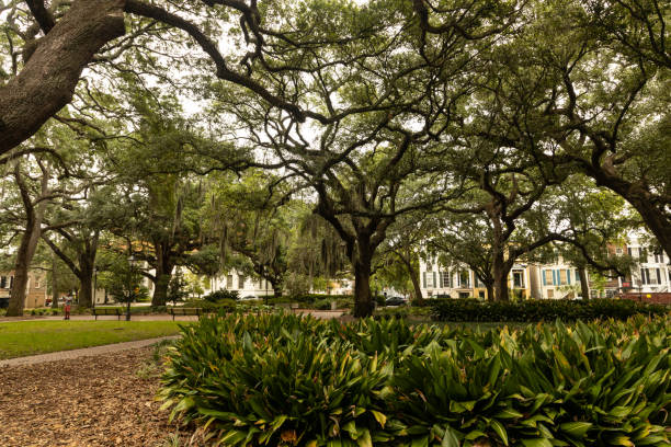 Chatham Square in downtown Savannah in Georgia
