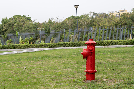 An adorable Pomeranian Puppy looking sheepish by a fire hydrant.  Isolated on white.