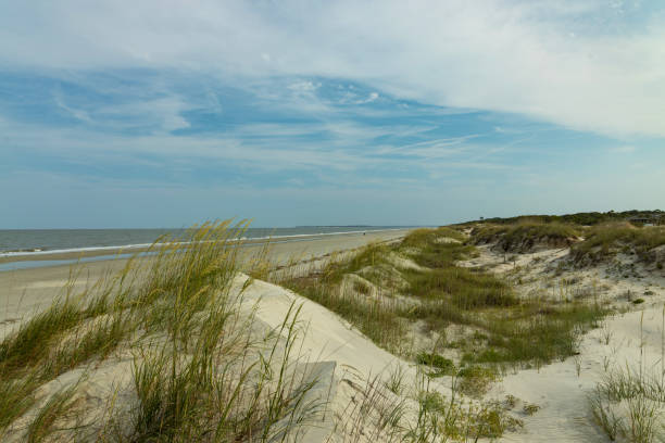 istock sand dunes and atlantic ocean at Jekyll Island 1502923547