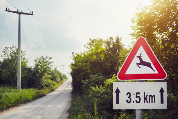 istock Deer crossing road sign on hunting grounds 1502926189