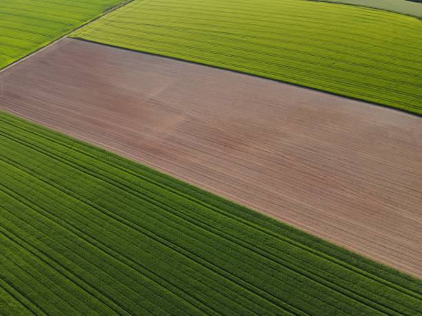 istock Green growing crop fields and plowed agricultural land from above in spring 1502928122