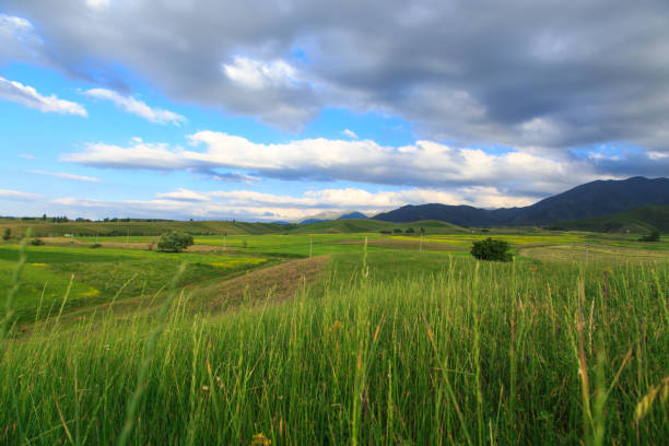 istock Beautiful spring and summer landscape. Lush green hills. Spring blooming herbs. 1502928152