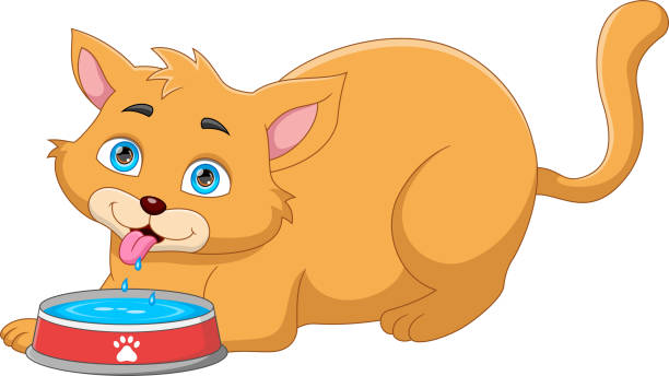 słodki kot z kreskówki z wodą pitną - dog domestic cat pets cartoon stock illustrations