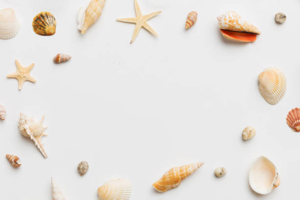 istock Summer time concept Flat lay composition with beautiful starfish and sea shells on colored table, top view with copy space for text 1502932883