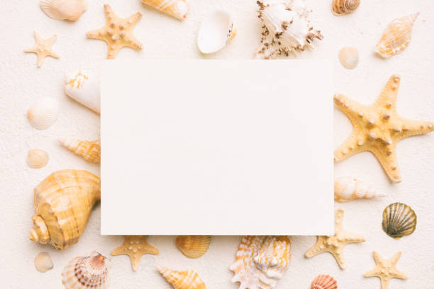 istock Summer time concept with blank greeting card and blank white paper on colored background. Seashells from ocean shore in the shape of frame separated with space for text top view 1502932908