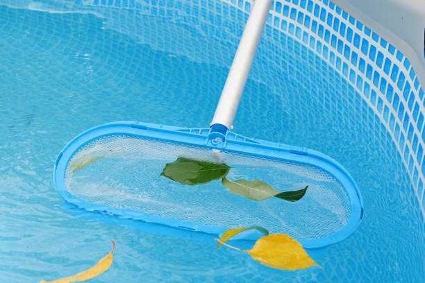 istock Cleaning a swimming pool with a mesh skimmer . The long net cleans colored leaves off surface of the water 1502933032