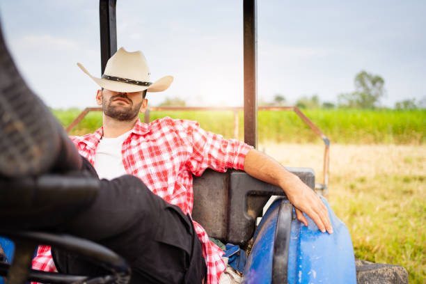 istock Male farmer's portrait. 1502936959