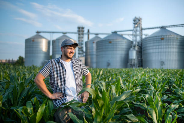 istock Portrait of confident farmer standing in the corn fields. 1502941571