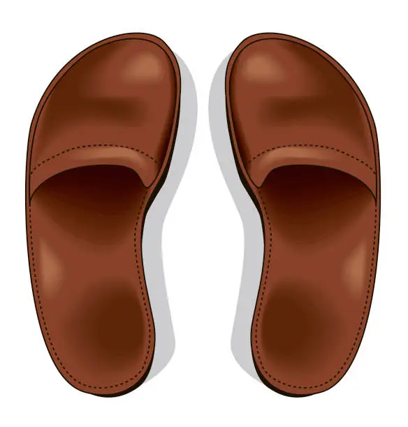 Vector illustration of A pair of brown men's slippers from the top angle