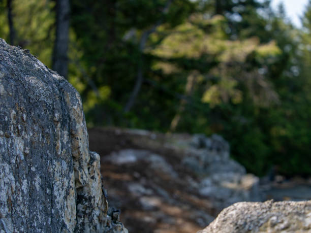 istock Clipper Place Beach Bowen Island 1502950806