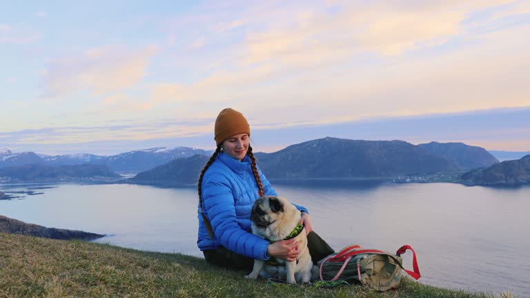 Happy Woman Backpacker Relaxing with Her Dog Contemplating Idyllic Landscape During Midnight Sun in Norway