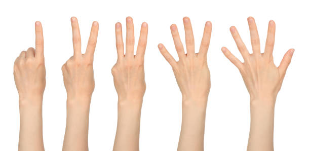 istock Women hands show the number one two three four five, on white background 1502955873